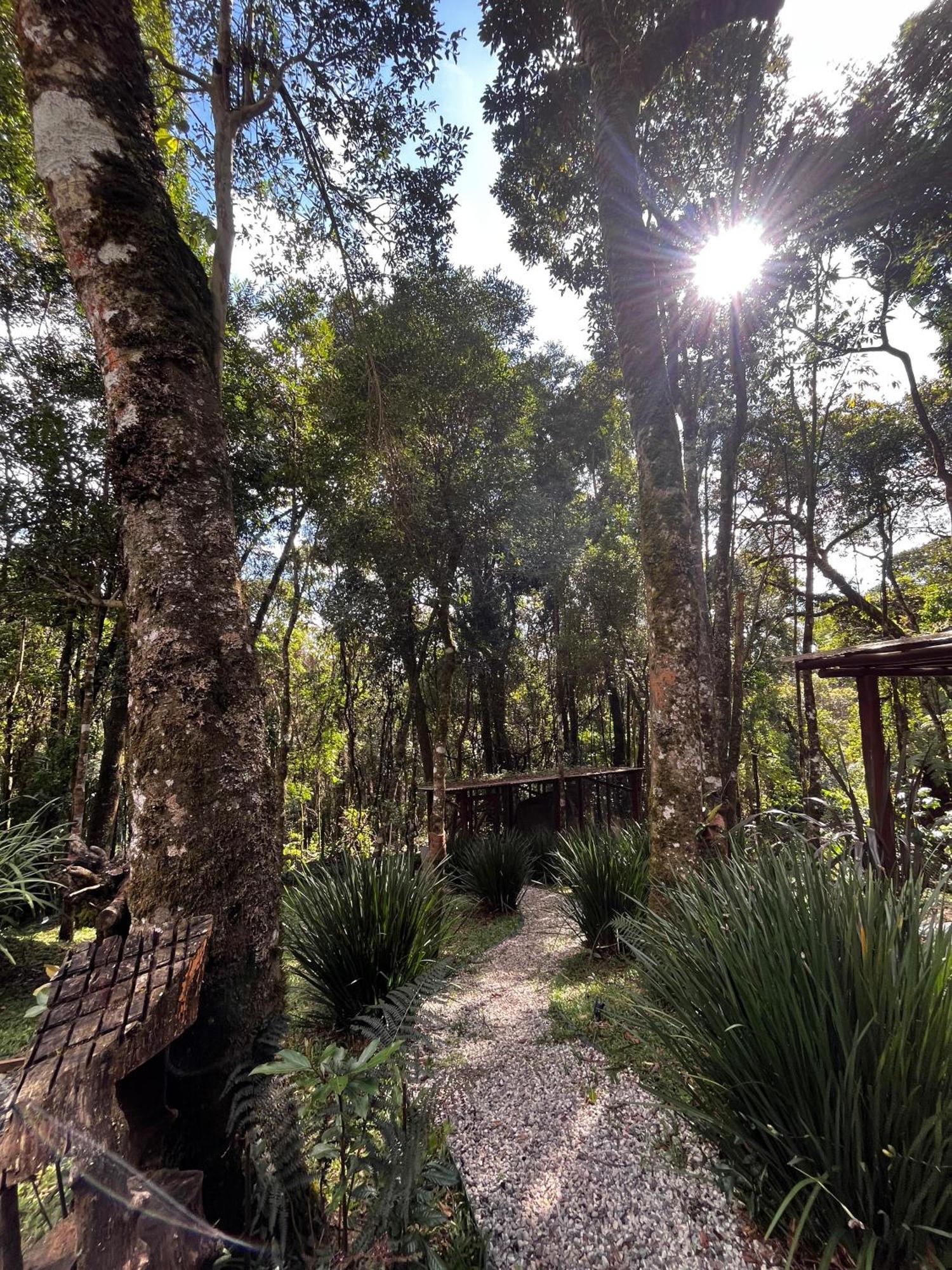 Refugio Familiar Em Monte Verde Monte Verde  Exterior photo
